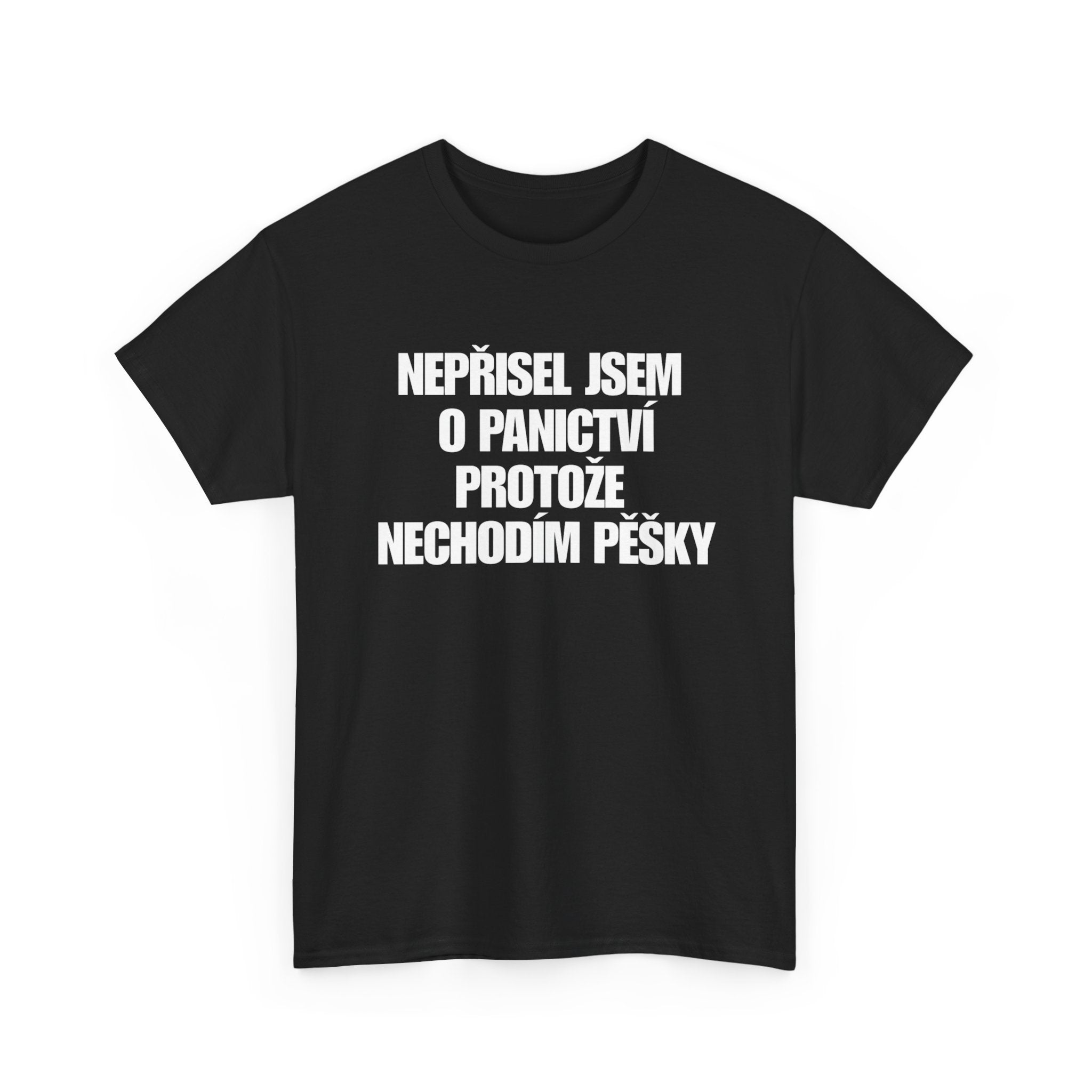 Panictví